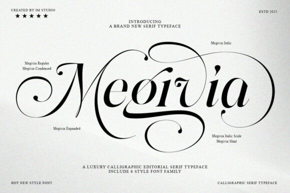 Font Choice That Matters: How Megivia Elevates Campaign Design