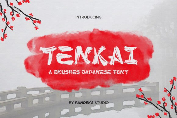 Font Choice That Stands Out: Why Tenkai Works for Web Design