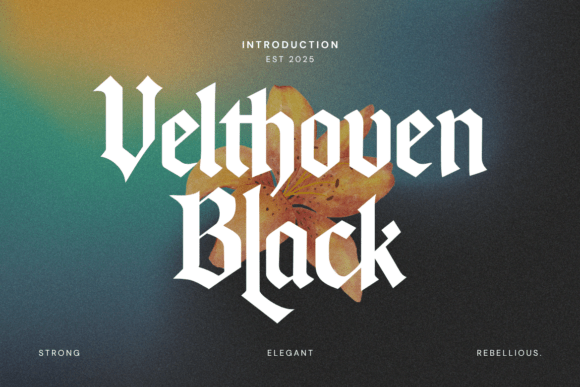 Velthoven Black: The Typeface That Elevates Your Digital Brand