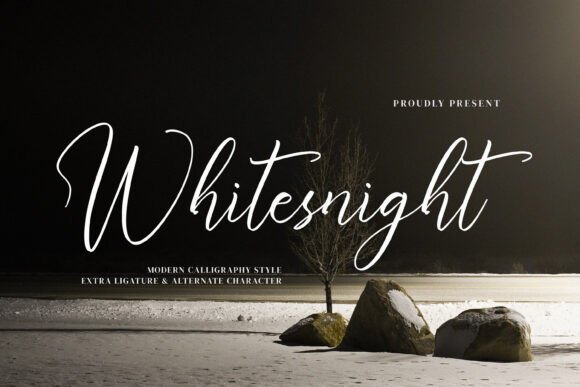 Whitesnight: A Font That Elevates Your Brand